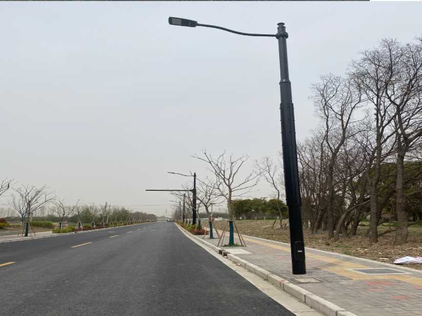 邱县上海综合杆 太阳能路灯工程